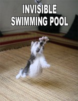 /album/photogallery/funny-animals-with-funny-sayings-4-jpg/